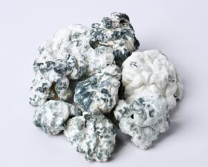 Enigma Envy Magic Mushrooms