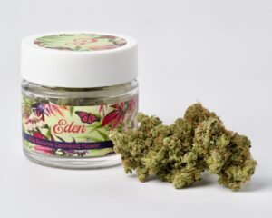 Midnight Sour Diesel | Sativa