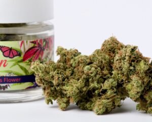 Alternative view of Midnight Sour Diesel | Sativa