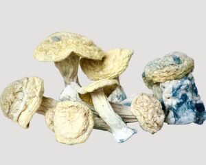 Clockwork Orange Magic Mushrooms