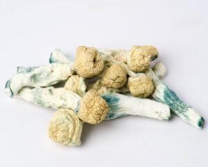 Platinum Gates Magic Mushrooms