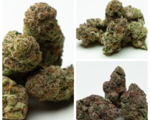 3 Flower Combo