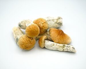 Hillbilly Magic Mushrooms