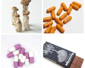 Mushroom Madness Bundle