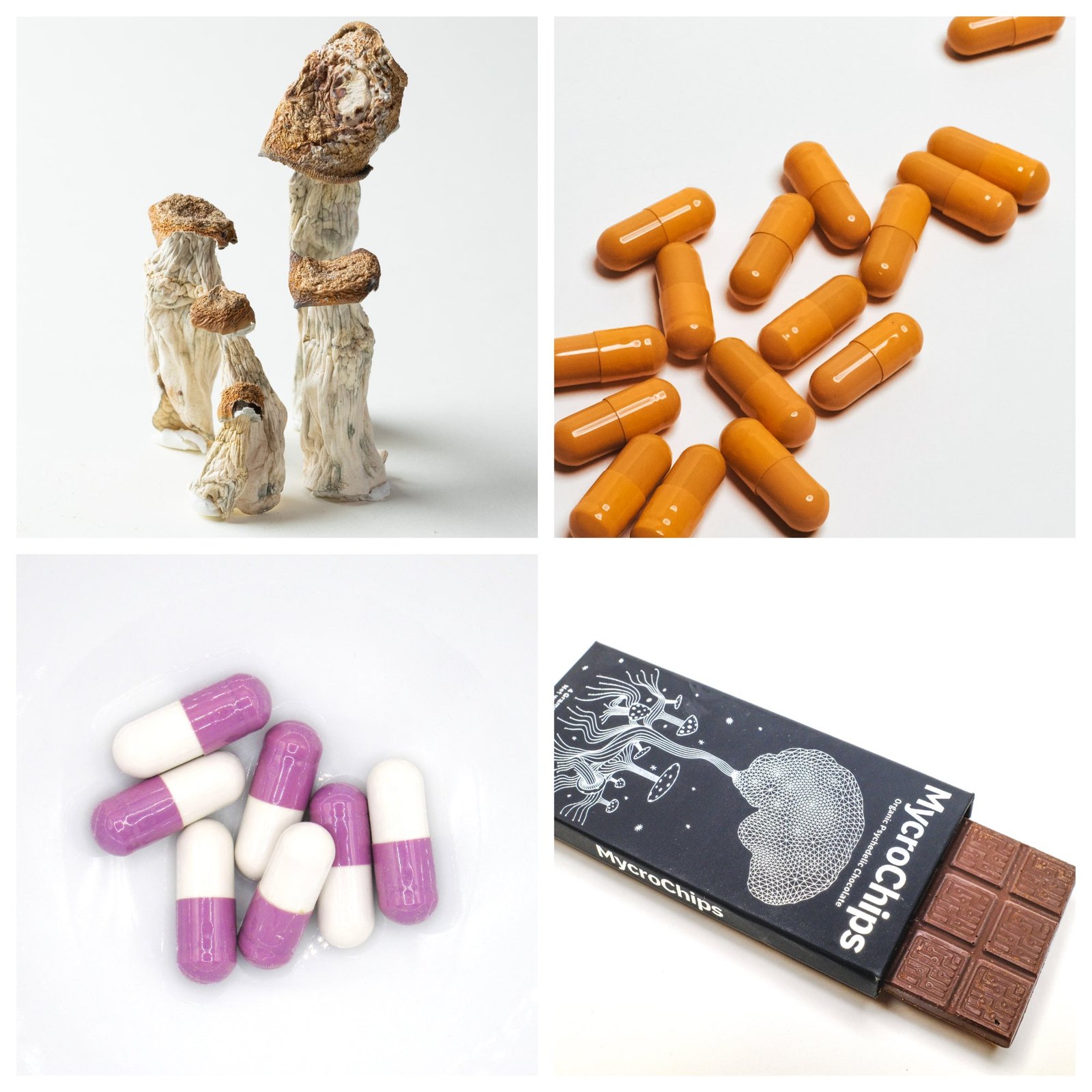 Mushroom Madness Bundle