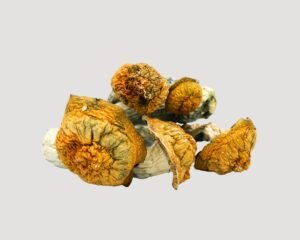 Penis Envy #6 Magic Mushrooms