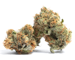 Gelato #41 | Hybrid