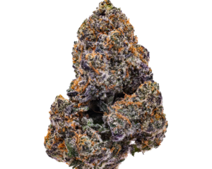 Lemon Cherry Gelato Smalls | Hybrid