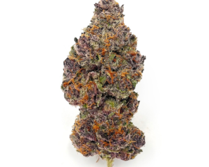 Tropicana Cherry | Hybrid