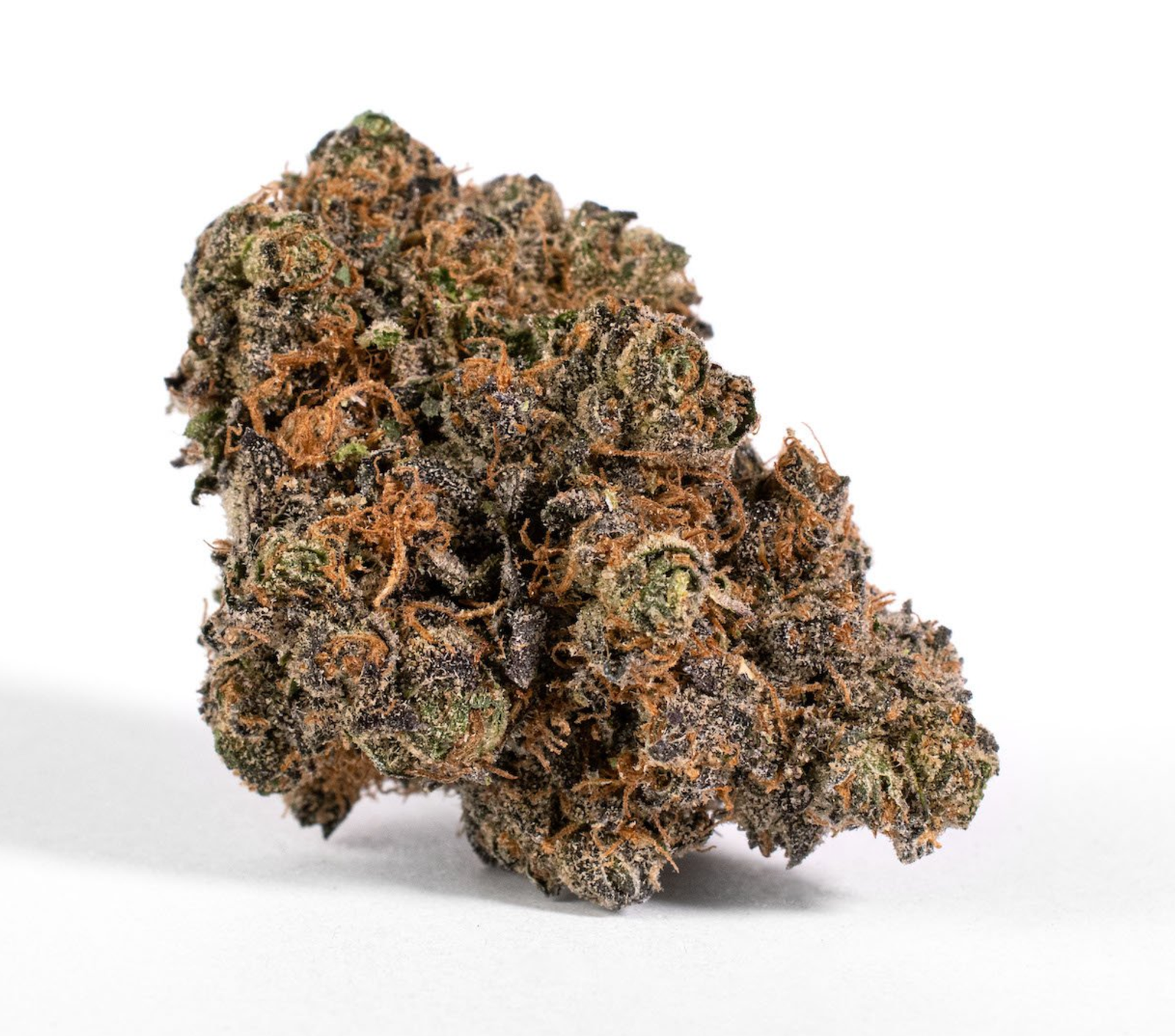 Black Market Smalls | Hybrid