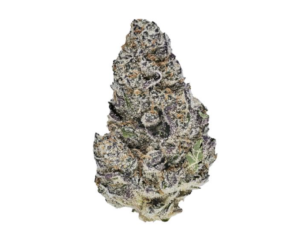 Blue Lobster Smalls | Hybrid