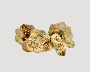 White Wizard Magic Mushrooms